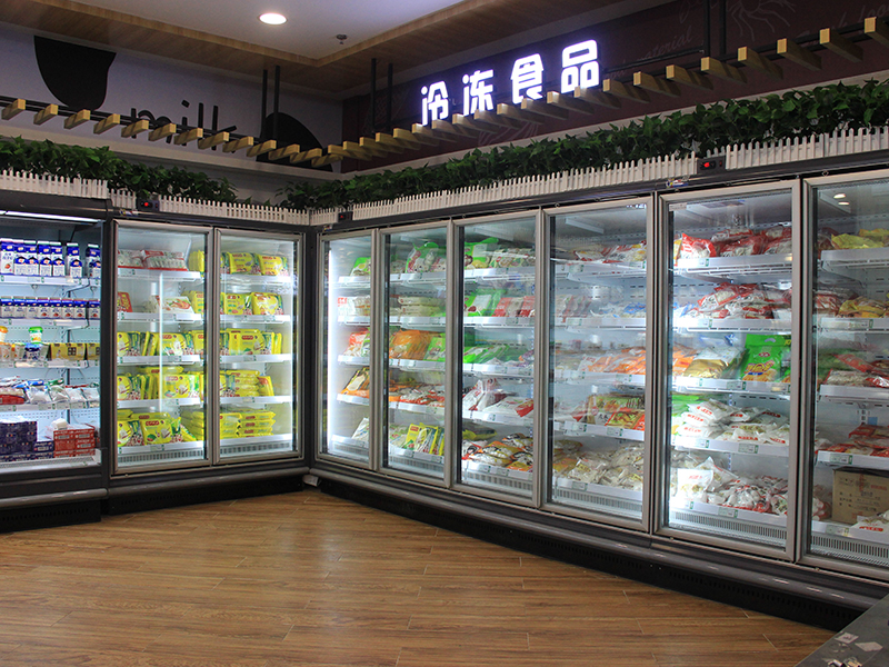 Refrigerated Drugs Cabinet 500L